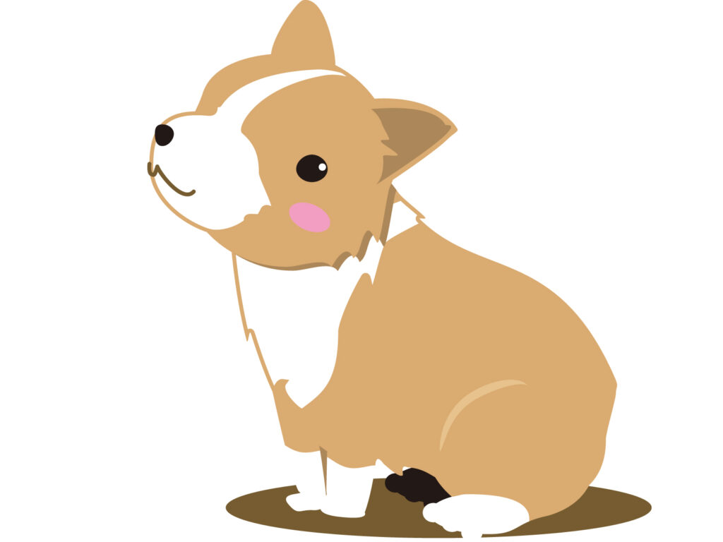 子犬を飼うのに最適な時期はいつですか?